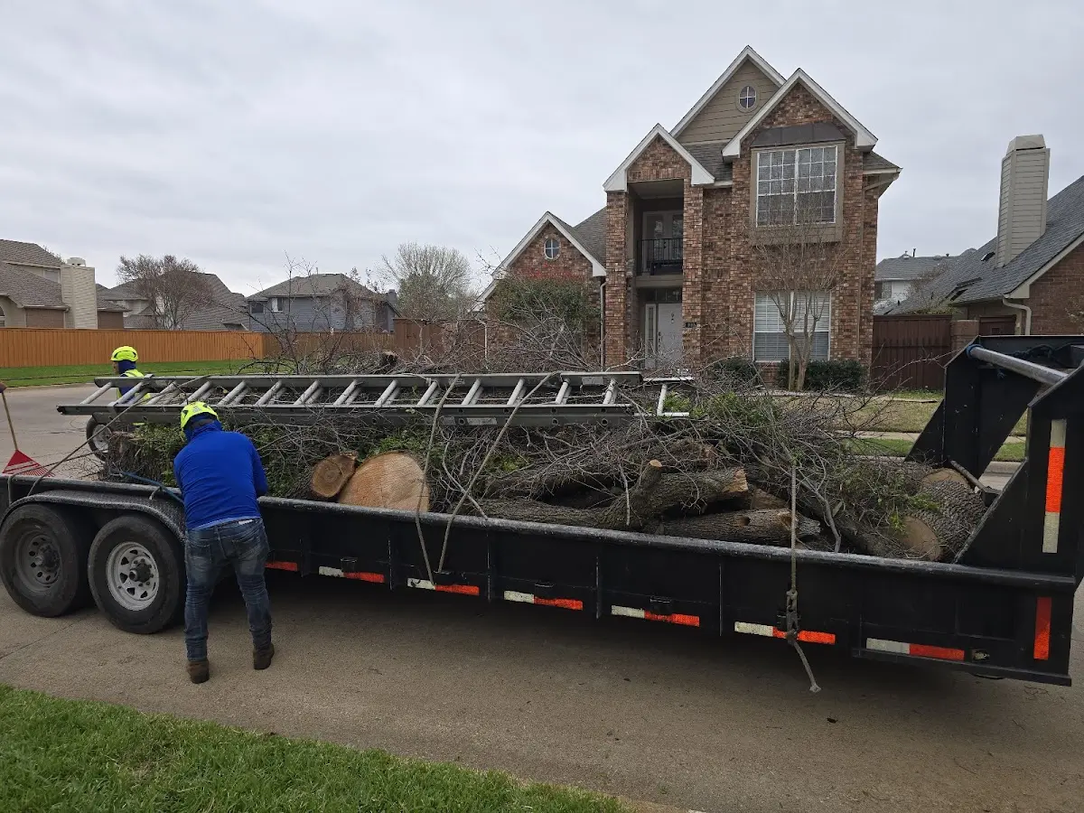 Expert Tree Removal with proper safety equipment in Portage